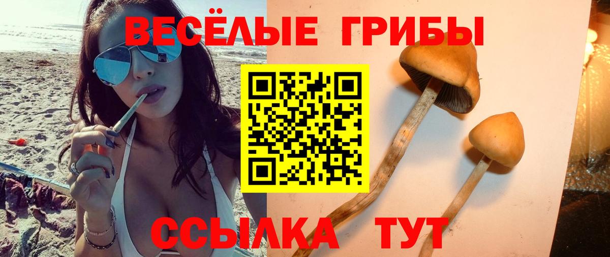 Малоярославец  Галлюциногенные грибы Psilocybine cubensis  Галлюциногенные грибы GOLDEN TEACHER  Вход с VPN 